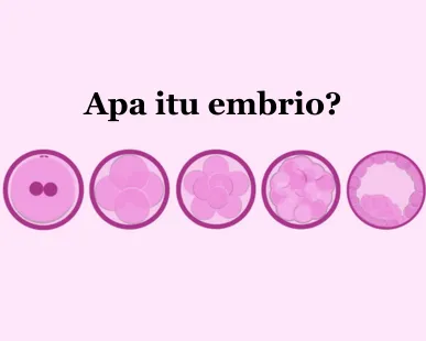 Embriolog