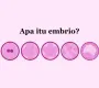 Embriolog