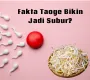Mitos atau Fakta Taoge Bikin jadi Subur dok?